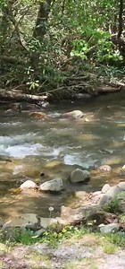 Indian Creek Campground on Reels