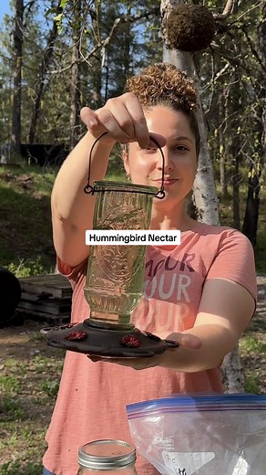 Natural Hummingbird Nectar Recipe — No Red Dye