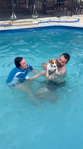 Was a hot Christmas day here. Not for our family and our little dog boarders though. (Pop does complain about cleaning pool filters every day but hey? You get that with the good jobs? ) 😆😜🥰♥️ | Nanango Pet Motel