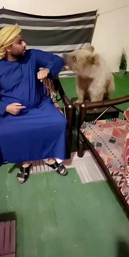 Extraordinary Wildlife Living with Humans: Heartwarming Stories of Coexistence, Conservation