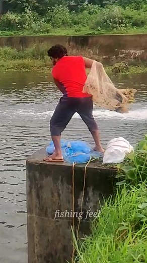 156K views · 1.2K reactions | Cast net throwing kerala #nature #castnet #fishing #kerala #godsowncountry | Fishing feel-Nasar Palakkad | Facebook