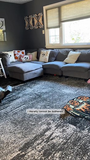 117K views · 1.7K reactions | Full livingroom couch and carpet deep clean with NO CORDS courtesy of... #WeCleaning | We Cleaning | Facebook