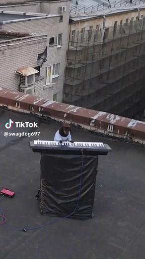 Swag The Synthesizer Dog on TikTok