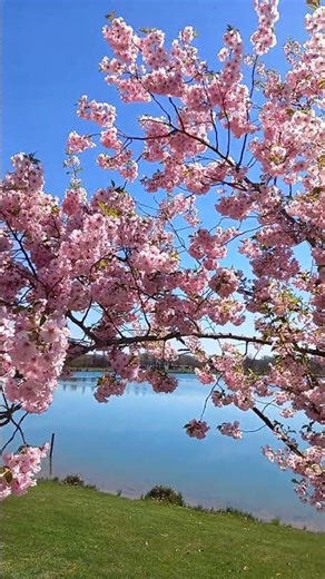 Am Feldkirchner Badesee