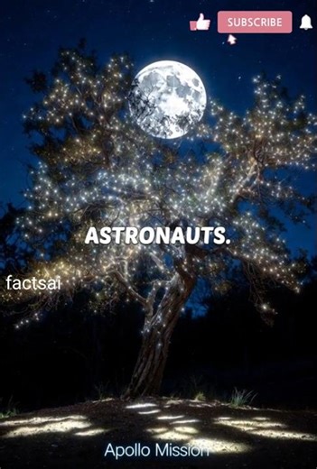 Moon Trees: America’s Hidden Space Forest! 🌕🌳#factsai #amazing