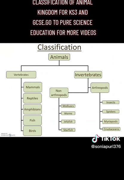 Pure Science Education on TikTok