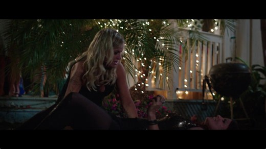 Sisters (2015) Comedy: Epic Cat Fight Scene