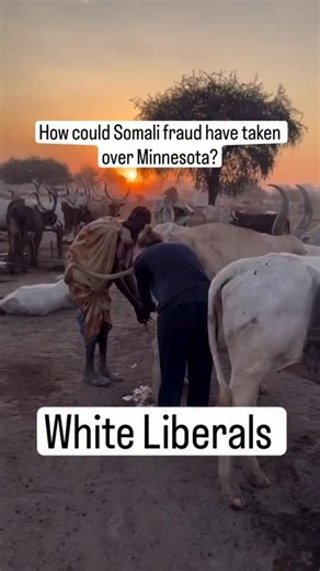 Rich Penkoski on Instagram: "People keep asking how massive fraud schemes were able to thrive in Minnesota. Then you see white liberal women bathing in cow urine for “multicultural solidarity” while screaming that asking questions is racist. This is how fraud flourishes. Moral paralysis, blind virtue signaling, and zero accountability. Enough said. #MinnesotaFraud #VirtueSignaling #LiberalLogic #ClownWorld #WakeUpAmerica"