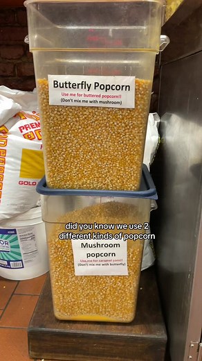 Popping with Possibilities! 🍿 Discover the magic of our candy store's popcorn varieties. Flutter into the world of savory delight with our butterfly popcorn, or indulge in the sweetness of caramel with our mushroom popcorn. Which kernel will you choose today? Let the popping adventure begin! #popcorn #caramelcorn #popcorn🍿 #candyshop #asmr #candymaking