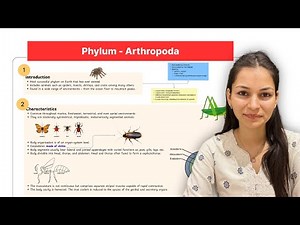 Phylum Arthropoda (General Characteristics) in हिन्दी | B.Sc. & M.Sc. Zoology