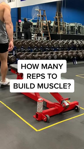 How many reps should you do to build muscle？ #reps #fitnesstip @bangenergy.ceo @noofuzion #bangenergy #noofuzion #ad #fitnesstip #naturalbodybuilding | Evelyn Ava