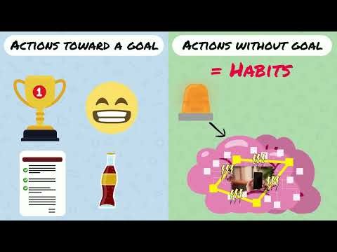 Cognitive control 3 Actions and habits can be learned, and they can be unlearned