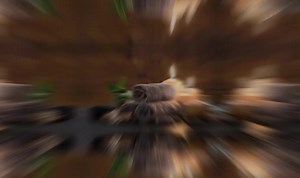 היי אז כך שמי מושיקו נעים מאוד😊. מדובר בעיסוי משחרר מענג בריא, ובעיקר כייפי, מסוג שוודי הולייסטי, שמשולב ברקמות עמוקות של השרירים, עם טכניקות רפואיות לגופך המתואמות אישית! העייסוי נעשה על מיטת טיפולים מקצועית נוחה ומפנקת, ובשמנים מיוחדים מהטובים שיש היום,בתוספת שמנים אתריים המשפרים את פעולת העייסוי שמן העייסוי הוא טבעי לחלוטין משמן שקדים/ענבים וכ