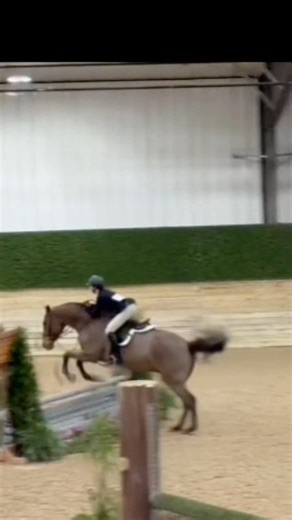 #horse #equestrian #riding (sorry for not posting new rides I’ve been sick)