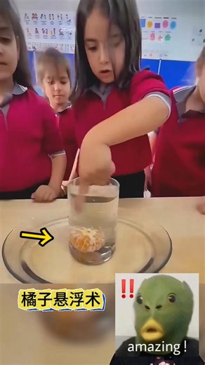 Orange Levitation Trick橘子悬浮术#魔术教学 #物理魔术 #Magic Tutorial #Physics Magic