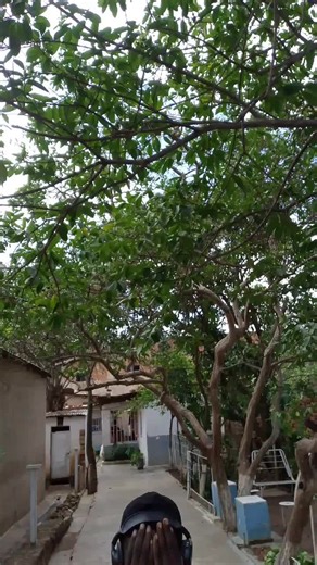 bing weekend (@bing.weekend)’s videos with son original - CITE MIAMI ✅