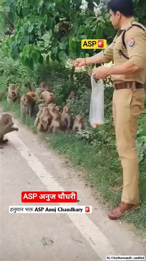 हनुमान भक्त ASP Anuj Chaudhary 🚨🚩#shorts #hanuman #jaishreeram #ips #motivation #sambhal #spsambhal