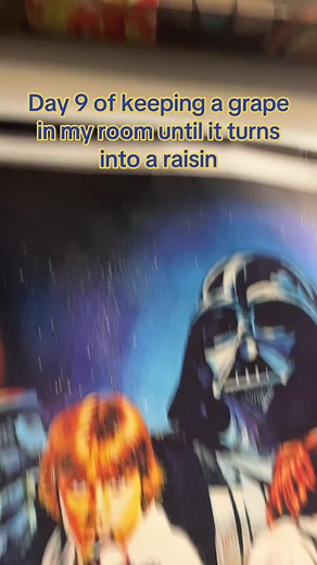 Grape to Raisin Transformation in Room | Day 9 Challenge