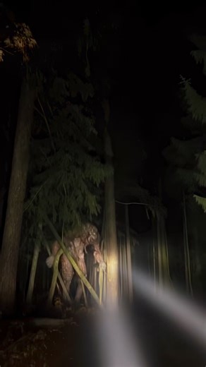 Forest Troll sighting #nightmarefuel #horror #troll #cryptids | Neuro Archives