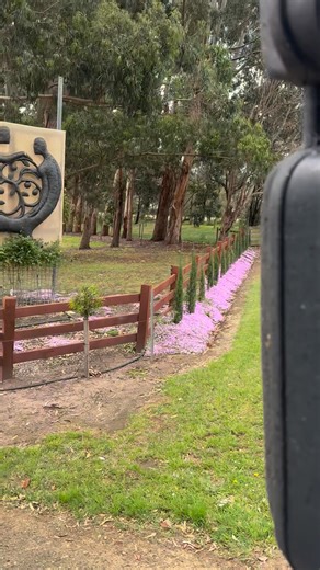 3.5K views · 53 reactions | 3am start and love 殺 getting home  after a big day. | South West Advanced Trees | Facebook