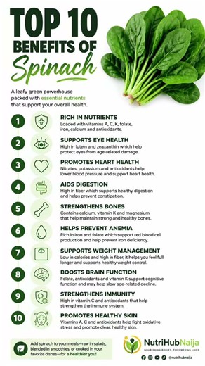 10 Amazing Benefits of Spinach 🌿 | Why You Should Eat Spinach Regularly