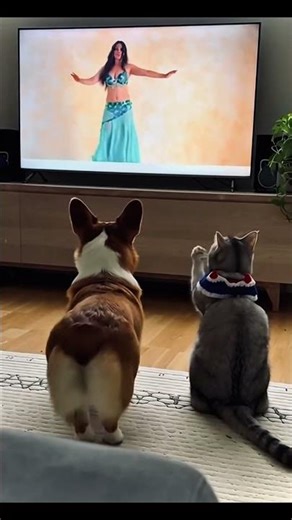 Random pet energy unlocked. 🔓⚡️