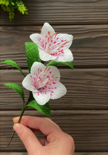 Beautiful Crepe Paper Flower Crafts Made Easy