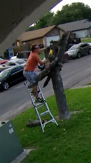 TreeCutting Fails That Went Hilariously Wrong #TreeFails