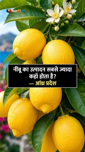 What Is Your State Famous for Producing? 🌾🏭 #gkindia #gkhindustan ‪@TheBrainIQ365‬