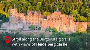 17 reactions |  Germany's castles are nestled in nature parks, biosphere reserves and vineyards. We take you on 11 hiking trails full of history and spectacular views. Click on the link to find out more! https://www.germany.travel/en/inspiring-germany/castle-hikes.html | Germany Tourism | Facebook