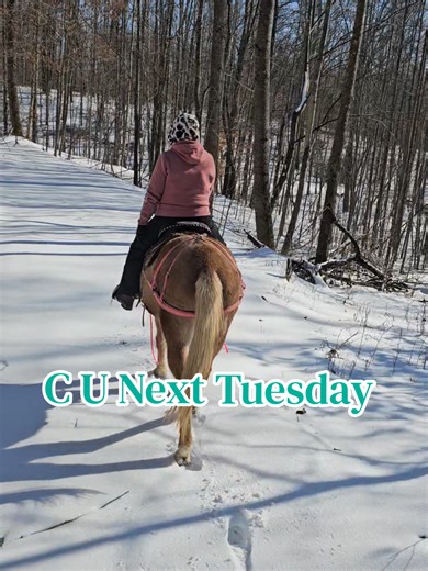 Amber Ashburn Edge (@amber_ashburn)’s videos with Bless Your Heart - Megan Moroney