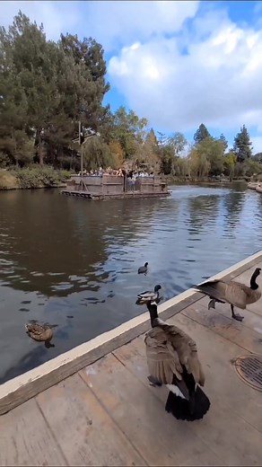 Where you going rafts to tom sawyer island? #Disneyland #TomSawyerIsland