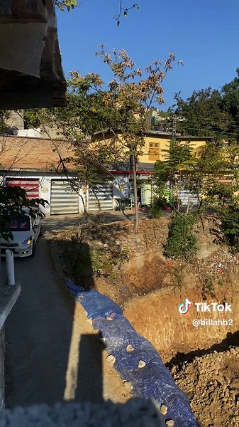 Exploring Vitz Lovers and Their Stories