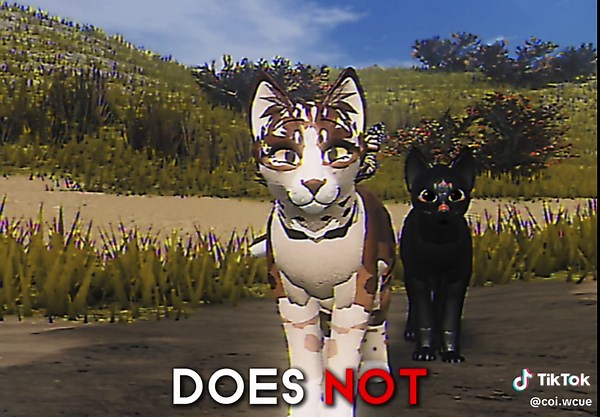 Exploring the Spooky Wcue Universe