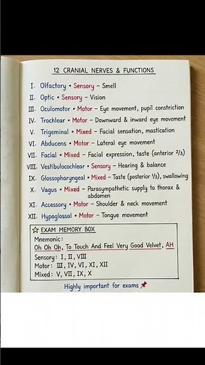 12 Cranial Nerves & Their Functions | Easy Trick for Nursing, NORCET & NEET
