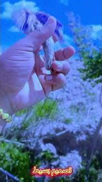 ١٣ أبريل ٢٠٢٦