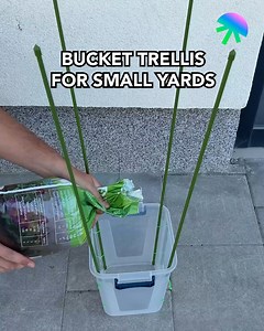 Bucket Trellis for Small Yards | Pixel Pop