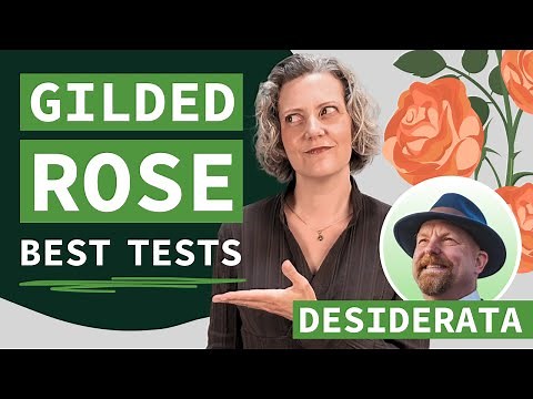 Best Tests for Gilded Rose Kata | Kent Beck’s Desiderata