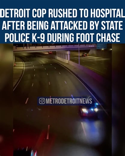 A Detroit Police officer was rushed to the hospital after an MSP K-9 bit him. Officers were tracking down a suspect who was in a stolen car in the area of 8 Mile & Van Dyke. The suspect bailed on foot and led officers on a chase. The Michigan State Police K-9 was let go to chase the suspect. The DPD officer was in front of the dog and was attacked instead. The officer was badly bitten and rushed to a nearby hospital. The suspect was arrested shortly after. | Metro Detroit News