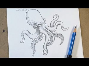 How to Draw an Octopus Step by Step | Pencil Drawing