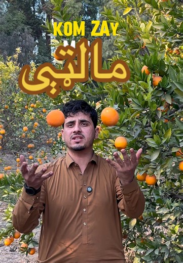 Exploring Afghanistan's Sweetest Oranges Market