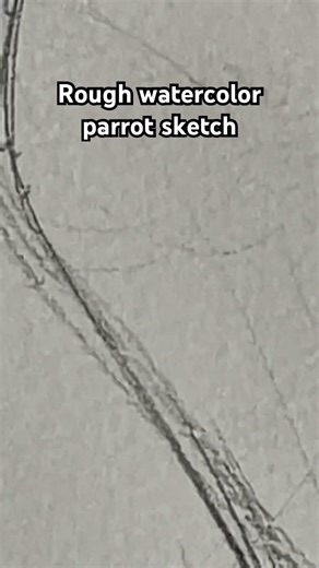 Rough watercolor parrot sketch