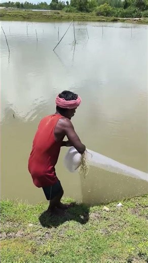fishing net😭 Please saport karo bhai 🙏🙏🙏🙏