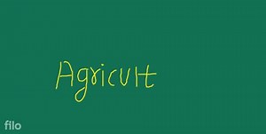 PROBLEMS OF AGRICULTURE IN INDIAThe problems faced by Indian a... | Filo