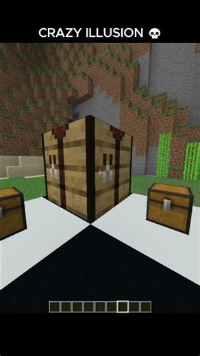 CRAZY ILLUSION MINECRAFT #gaming #minecraft #trending #shorts