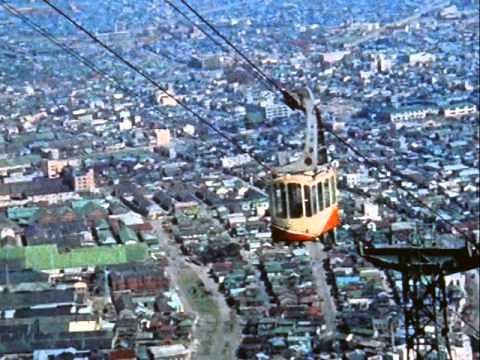 ギターを持った渡り鳥