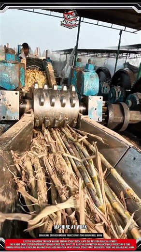 Sugarcane Crusher machine Processing 5 tons During Mill Work