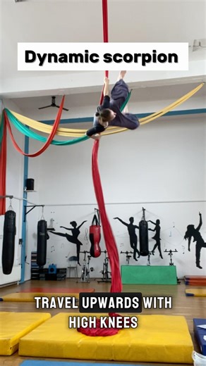 Dynamic scorpion entry #shorts #aerialsilks #aerial #acrobatics #circus #aerialcoach