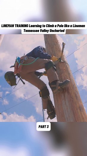 Lineman Training: Climbing Like a Pro in Tennessee