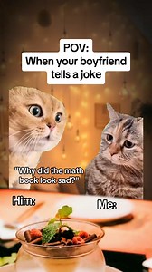When your boyfriend tells a joke #catmemes #realatable #Relationship #couple #boyfriend #girlfriend | Usascatsz